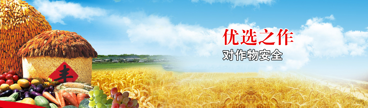 專(zhuān)注生產(chǎn)經(jīng)營(yíng)縫包線(xiàn)、噸包線(xiàn)、扎口繩